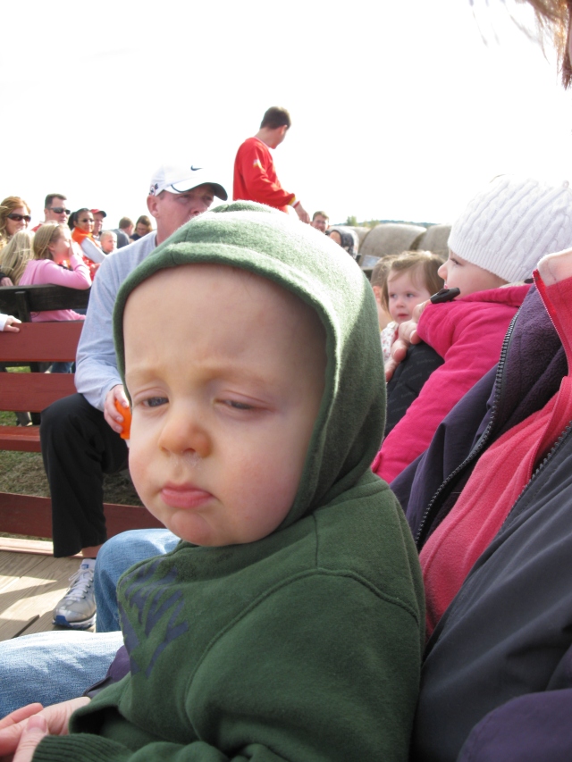 Daniel is not sure about this hay ride thing.